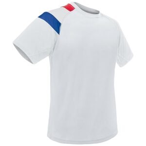 tee-shirt FRANCE coton unisexe 170 gr 2